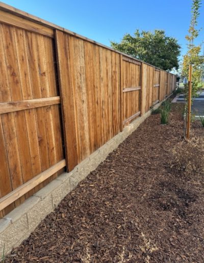 Wooden fence with a concrete base, bordering a mulched area with young trees