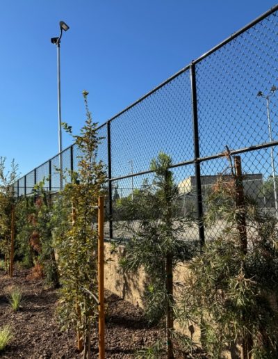Outdoor space with a black metal fence and gate, perfect for pets to play and exercise
